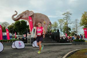 BIB: 
                            <button type="button" onclick="openModal(26529216)" class="btn btn-primary btn-sm float-right btn-popup" data-toggle="modal" data-target=".modal-high-quality">
                        <i class="fas fa-shopping-cart"></i> Add to Cart
                    </button>
                                            <button type="button" onclick="isThisMe(26529216, true)" class="btn btn-success btn-sm float-right btn-popup btn-isme hidden" data-toggle="tooltip" data-placement="bottom" title="นี่คือรูปของคุณใช่ไหม คลิกที่นี่เพื่อเอาเข้าอัลบั้ม">
                        <i class="fas fa-plus"></i> Add to album
                    </button>
                    <button type="button" onclick="isThisMe(26529216, false)" class="btn btn-warning btn-sm float-right btn-popup btn-isnotme hidden">
                        <i class="fas fa-ban"></i> Remove from album
                    </button>